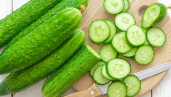 Зампред "Руспродсоюза" Леонов: ситуация в Иране не скажется на поставках огурцов в РФ