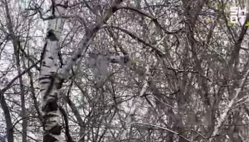 В Москве на прощании с рэпером Пашей Техником задержан оператор дрона