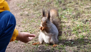 Метеоролог Позднякова пообещала москвичам по-весеннему теплое начало марта