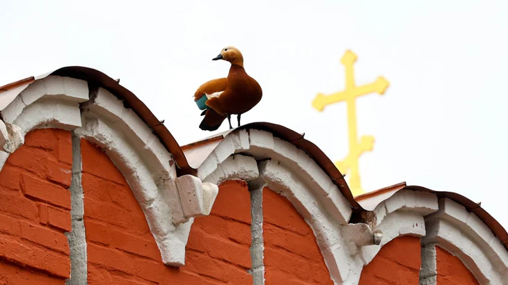 Рост давления и похолодание: какой будет погода в Москве на предстоящих выходных Рост давления и похолодание: какой будет погода в Москве на предстоящих выходных