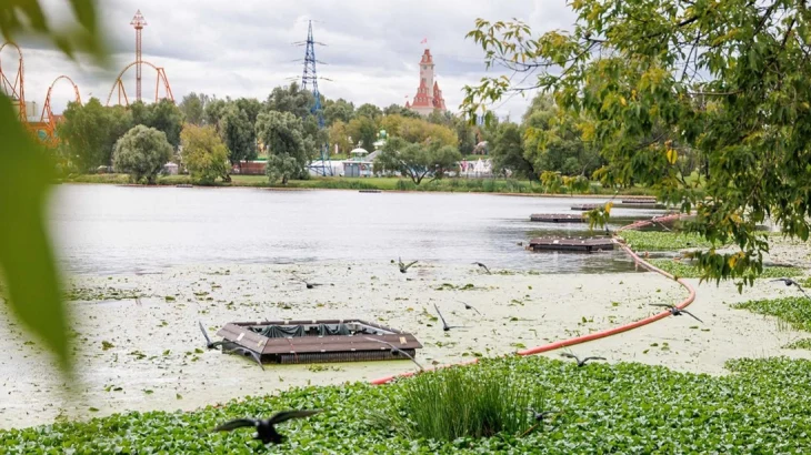 Специалисты «Мосводостока» следят за водой, попадающей в городские ливневки Специалисты «Мосводостока» следят за водой, попадающей в городские ливневки