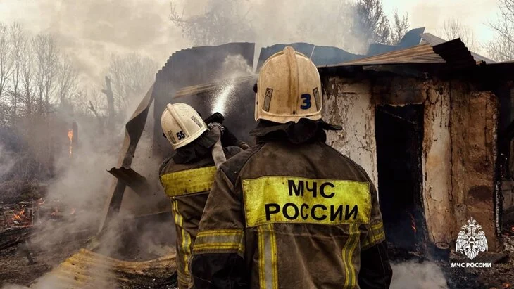 МЧС Кубани опровергло информацию о гибели 28 крокодилов и черепахи при пожаре МЧС Кубани опровергло информацию о гибели 28 крокодилов и черепахи при пожаре