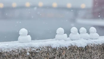 Аномально тепло: москвичей предупредили о дождях в столице в эти выходные