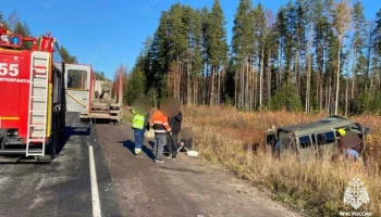 Восемь человек пострадали при столкновении микроавтобуса и грузовика в Карелии