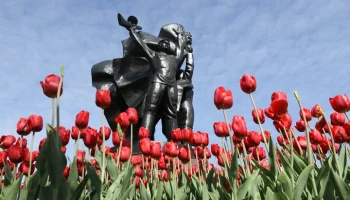 Ракетная опасность объявлена в Белгородской области в четвертый раз за сутки