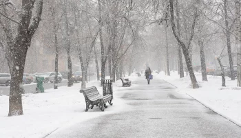 Вильфанд предупредил москвичей о морозе в 30 градусов в ночь на 14 января