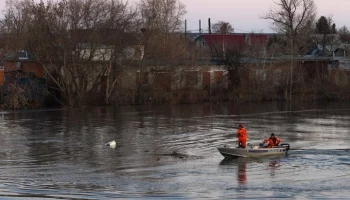 Уровень воды в реке Тобол у Кургана поднялся на 92 см