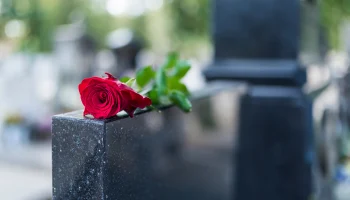 Самое дорогое место на кладбище в Москве стоит более 14,5 миллиона рублей