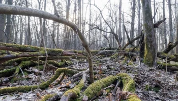 В столице усиливают контроль за состоянием водоохранных зон