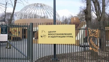 Московский зоопарк помогает представителям фауны, попавшим в беду в черте города