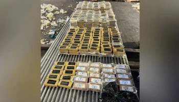 ФТС и ФСБ выявили 820 кг кокаина в контейнерах с бананами при ввозе в РФ