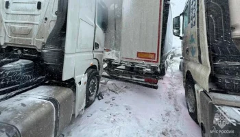 На трассе М-4 "Дон" в Тульской области образовался затор после ДТП