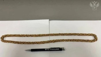 Таможенники во Внуково пресекли контрабанду цепи из золота на 3 млн руб