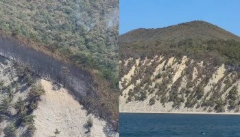 Лесной пожар под Геленджиком полностью ликвидирован