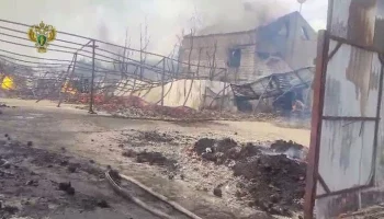 Пожар в подмосковном Новоивановском локализован на 1,6 тыс "квадратов"