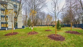 Более 7 тыс кустарников высадят у поликлиник Москвы в рамках второго этапа модернизации