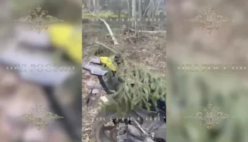 МВД обнаружило мотоцикл предполагаемого убийцы полицейского в Подмосковье