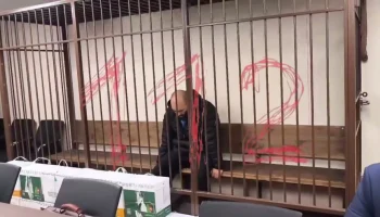 Обвиняемого в убийстве Церетели и ее дочери в Москве арестовали на два месяца