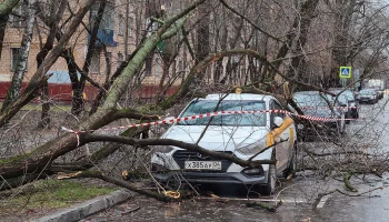 Шторм в Москве опрокинул остановки и деревья