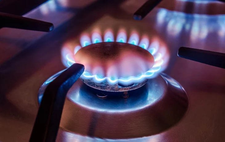 Программу газификации в России расширят на садовые товарищества