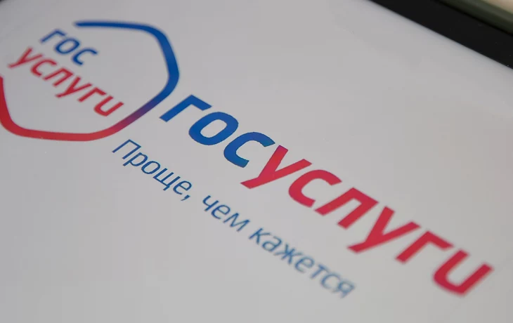 Сервис &laquo;жизненная ситуация&raquo; для многодетных семей запустили на &laquo;Госуслугах&raquo;