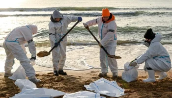 Новые выбросы мазута зафиксированы на побережье Анапы и Темрюкского района