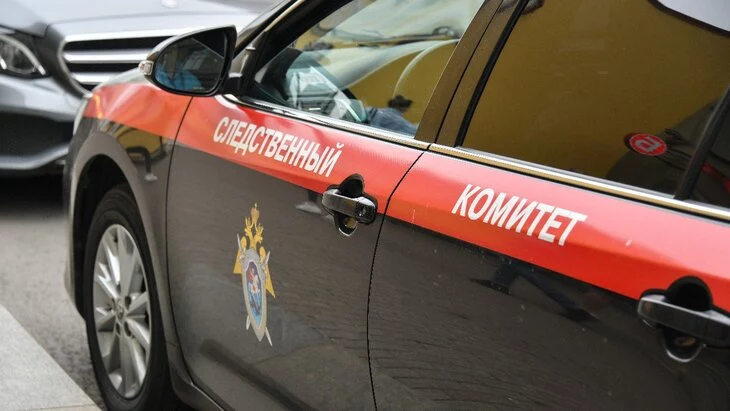 В Татарстане женщина два года избивала дочь утюгом