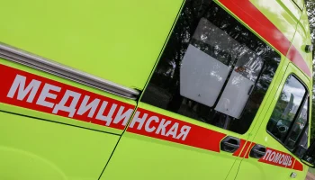 Пес вцепился пятилетней девочке в лицо и голову во время прогулки в Петербурге
