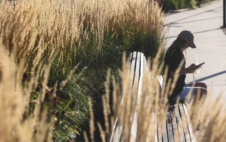 Вильфанд предупредил о возможном потеплении до 25 градусов на юге России Вильфанд предупредил о возможном потеплении до 25 градусов на юге России