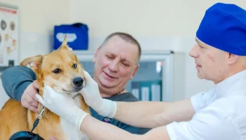 Сергей Собянин: Москва продолжает цифровизацию ветеринарной службы