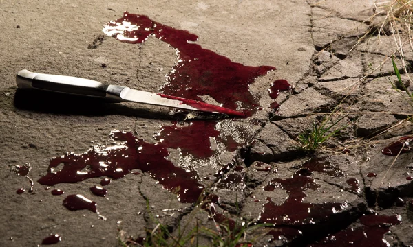 Shot: На теле убитой в Ленобласти 12-летней девочки обнаружили 30 колотых ран