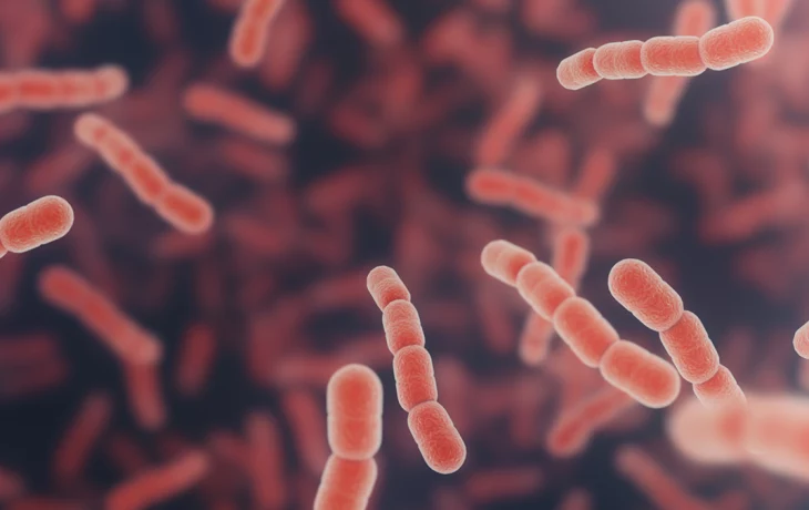 Врачи предупредили о распространении «плотоядной болезни». Насколько она опасна Врачи предупредили о распространении «плотоядной болезни». Насколько она опасна