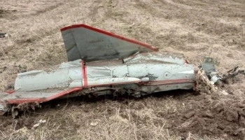 ПВО уничтожили реактивный дрон ВСУ &laquo;Стриж&raquo; над Брянской областью