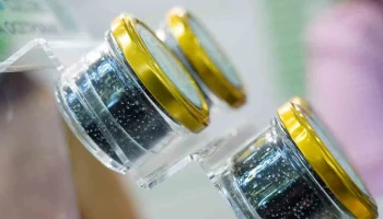 Сотни килограммов поддельной черной икры из Китая завезли в Россию