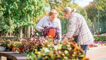 Летний городской декор обрел вторую жизнь в библиотеках и детских садах Москвы