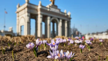 Парки Москвы подготовят к лету для комфорта жителей и гостей города