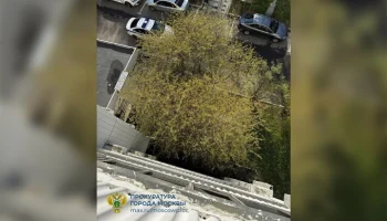 Ребенок выпал из окна квартиры на юге Москвы