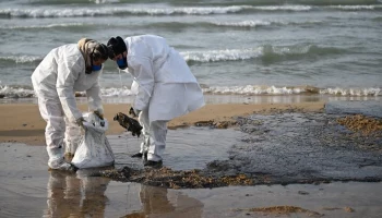 Отклонения от показателей выявлены в пробах морской воды на Кубани