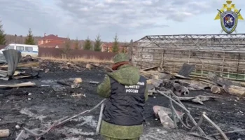 СК установил личности погибших при пожаре в подмосковном тепличном комплексе