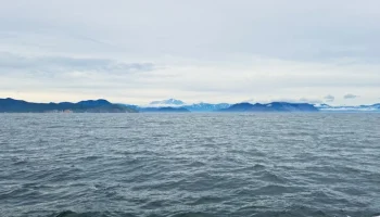 Землетрясение магнитудой 6,0 произошло возле южных Курил