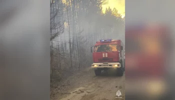 До 15 гектаров выросла площадь пожара в Гоначхирском ущелье