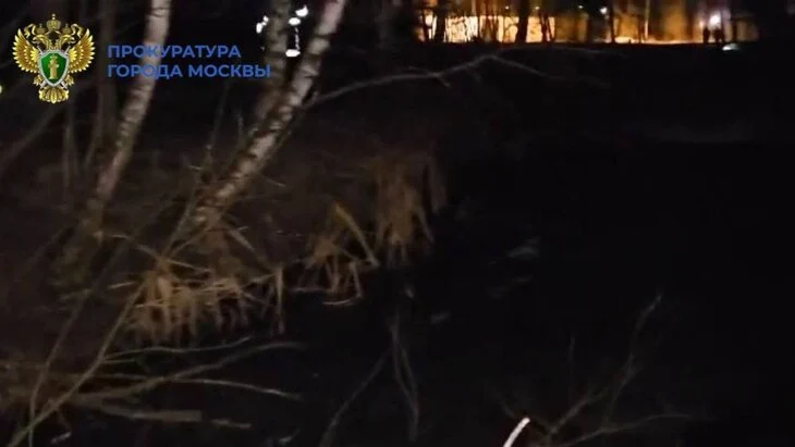 Тела двух детей найдены в пруду в Щербинке Тела двух детей найдены в пруду в Щербинке