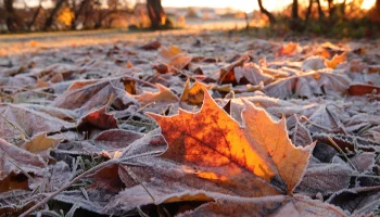 Синоптик Ильин предупредил о похолодании в Подмосковье в середине недели