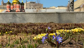 Синоптики сообщили о теплой и сухой погоде в Москве 21 марта