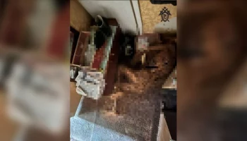 Скелет человека нашли в квартире на севере Москвы