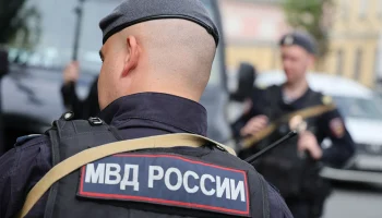 МВД России планирует запустить реестр педофилов и насильников в 2027 году