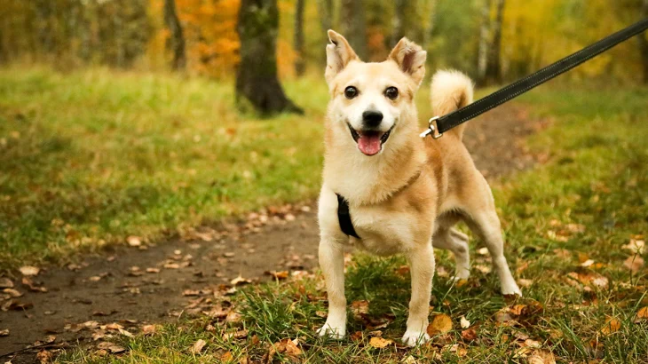 Синоптик Шувалов рассказал о возвращении солнечной погоды в Московский регион Синоптик Шувалов рассказал о возвращении солнечной погоды в Московский регион