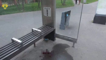 Глава СК поручил доложить о расследовании покушения на убийство женщины в Москве