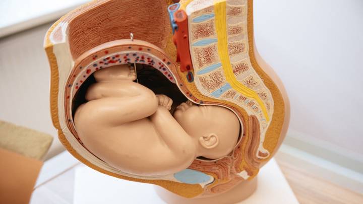 Анастасия Ракова открыла второй центр женского здоровья в Москве