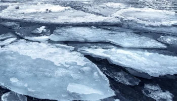 Пропавшие в Звенигороде дети утонули в реке